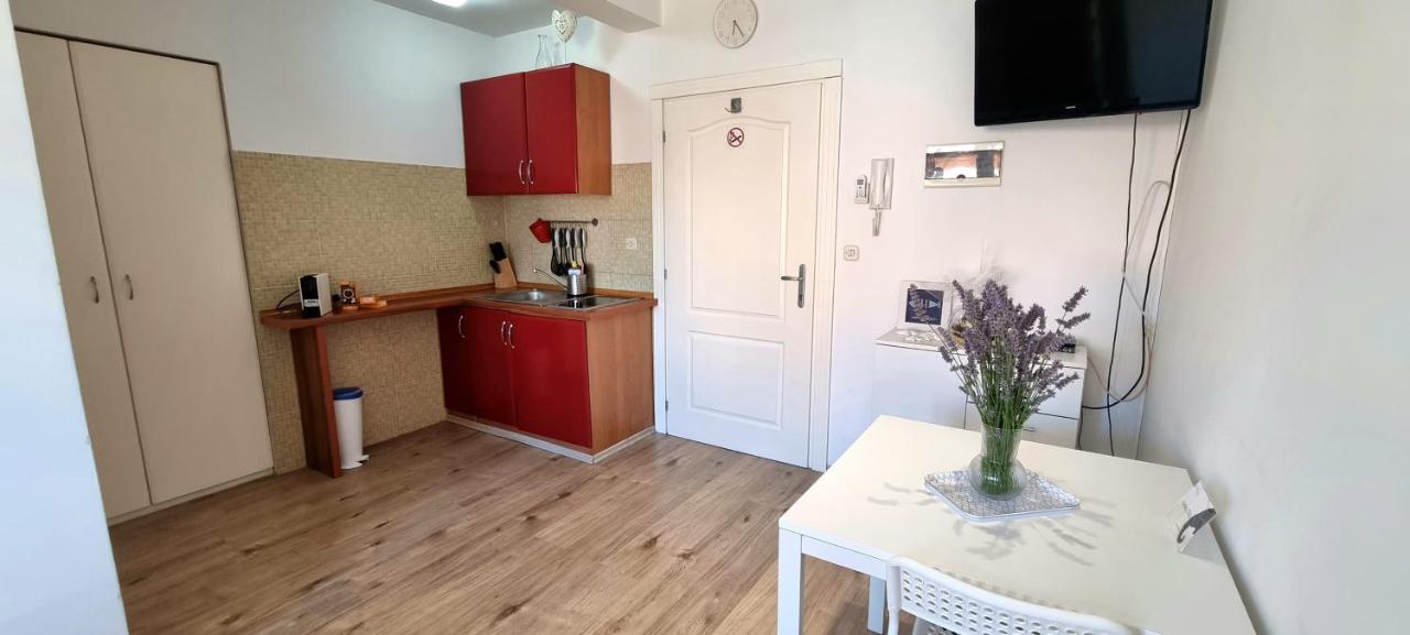 Tiny Studio Big Living Leilighet Rovinj Eksteriør bilde